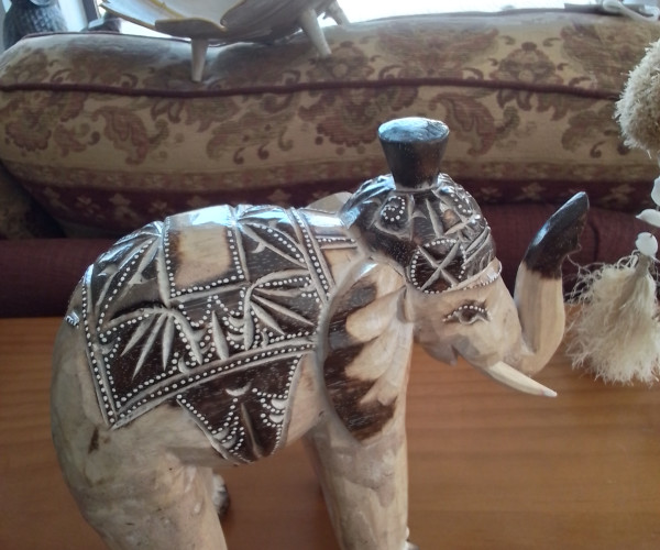 Elefante-1